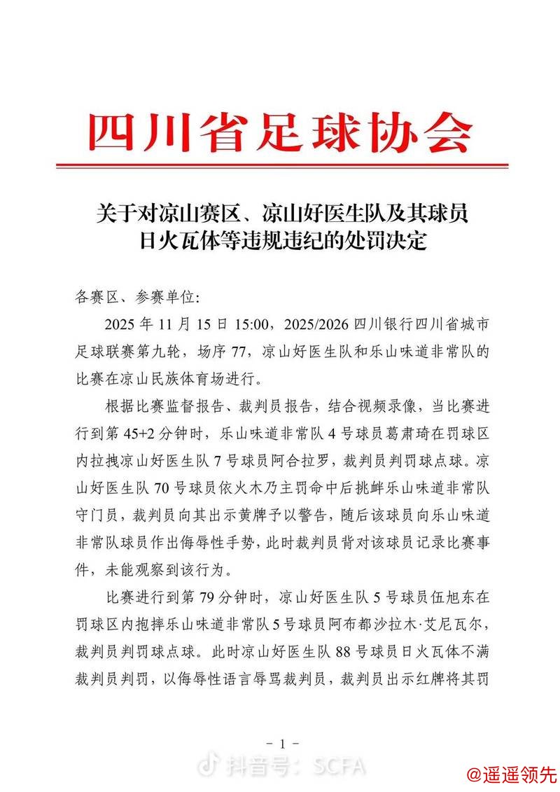 暴力飞踹拳击裁判 “川超”凉山好医生队球员日火瓦体省内禁赛5年