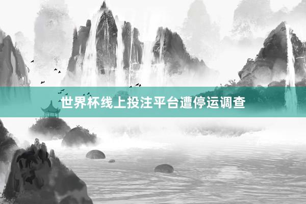 世界杯线上投注平台遭停运调查